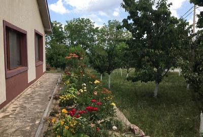 Casă cu 5 camere cu Teren 1650 Mp în Mineri - 3