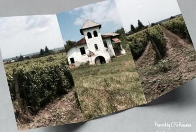 Teren de 53000 mp, în Central - 10