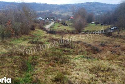 Teren de 3357 mp, în Valea Iașului - 9