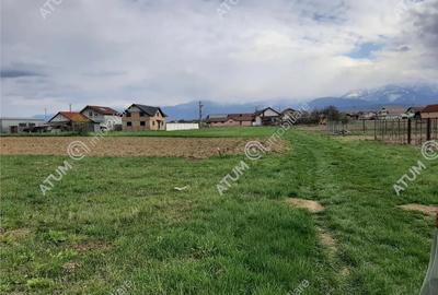 Teren de 1400 mp, în Avrig - 2