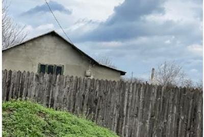 Casa si teren Bordei Verde, Jud. Braila 3005384 - 3