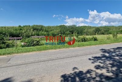 Teren de 772 mp, în Ciugud - 4