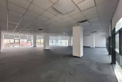 H Herastrau Park, Caramfil, 500 - 1200 mp  0% comision! - 10