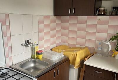 Apartament cu 2 camere semidecomandat în Valea Rosie - 7