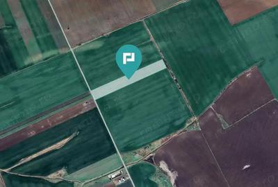 Teren 30.000 mp cu acces asfaltat Peciu Nou - 3