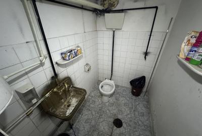 Hale pentru depozitare zona Halta Traian - Interioara 3 - 6