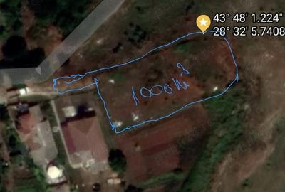 Teren de 1000 mp, în Limanu - 4