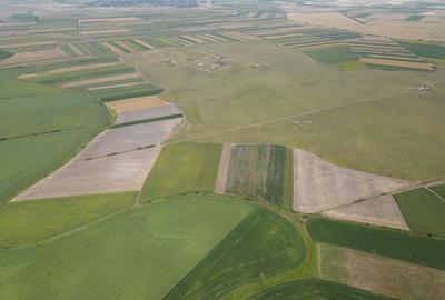 Teren arabil de 40 hectare in Zarand - 4