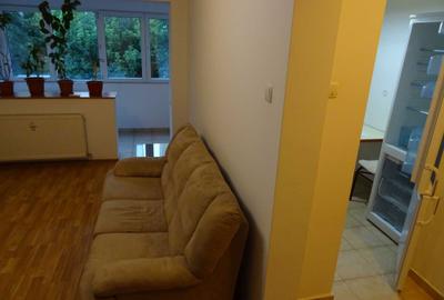 Apartament cu 2 camere semidecomandat în Gorjului - 4