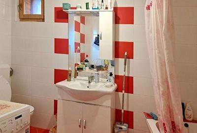 Proprietate investitionala cu  mai multe apartamente-singur in curte - 4