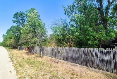 Teren de 3200 mp, în Urlueni - 17