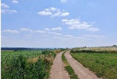 Teren de 1300 mp, în Bosanci - 5