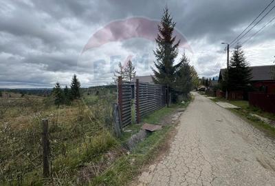 Teren 3,548mp, intravilan, Balcesti (Belis) - 4