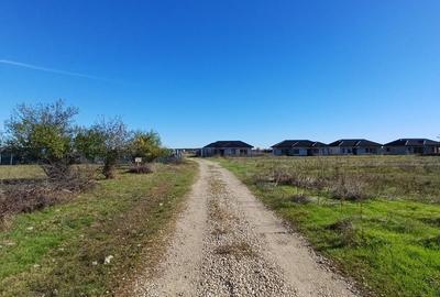 Teren Construcții intravilan de 937 mp, în Tamași - 1