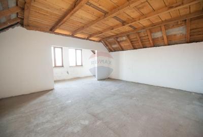 Casă cu 20 camere cu Teren 1395 Mp în Manolache - 46