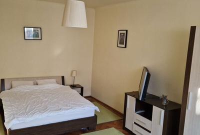 Apartament cu 2 camere nedecomandat în Cristian - 4