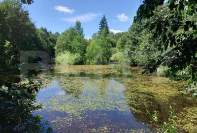 Casă cu 7 camere cu Teren 6060 Mp în Central - 9