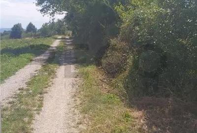Teren de 17500 mp, în Șinteu - 2