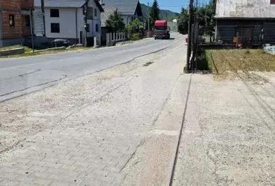 Casă cu Teren 5000 Mp în Năsăud - 9