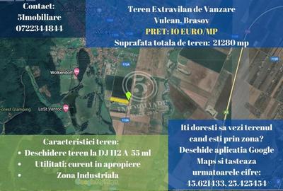 Teren Construcții extravilan de 21280 mp, în Vulcan - 1