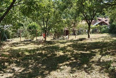 Casă cu Teren 1803 Mp în Anina - 17