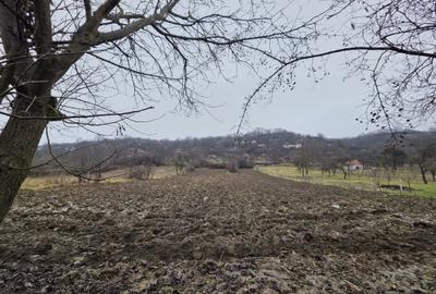 Casă cu 3 camere în Zăuan - 1