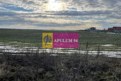 Teren Construcții extravilan de 4050 mp, în Sud - 2