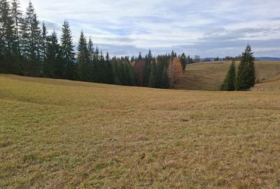 Teren vanzare intro o zona linistita. - 1