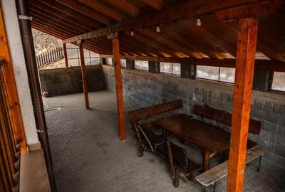 Casă cu 10 camere cu Teren 3300 Mp în Vale - 14