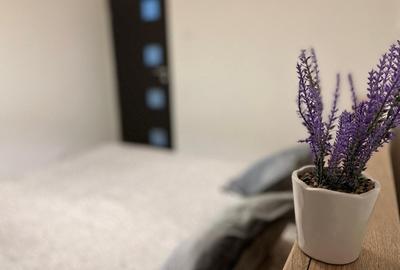 Vanzare apartament 2 camere Drumul Taberei Parc - 9