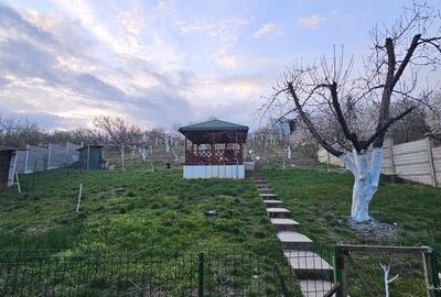Casă cu 10 camere cu Canalizare în Iorga - 2