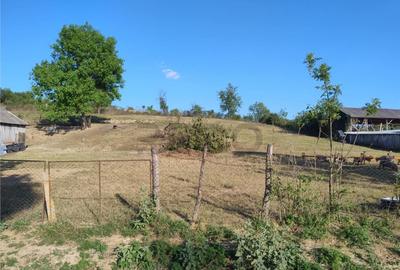 RECO Casa 4 camere, Uileacul de Beius - 2