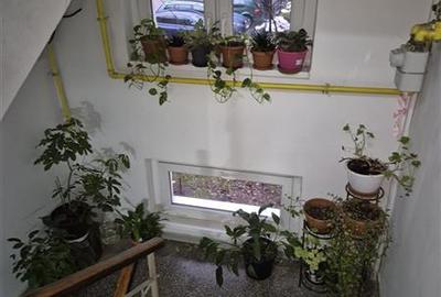 Apartament cu 2 camere semidecomandat în Brâncoveanu - 3