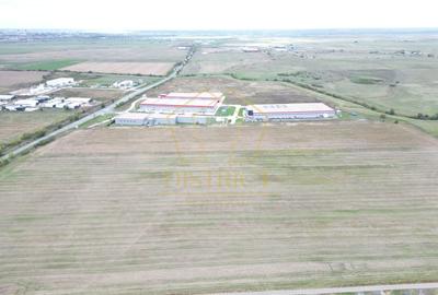 Teren Construcții intravilan de 4000 mp, în Sânandrei - 4