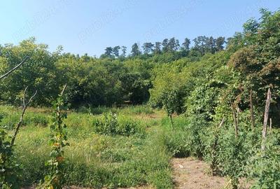 Casa cu gradina in Blaj - 7