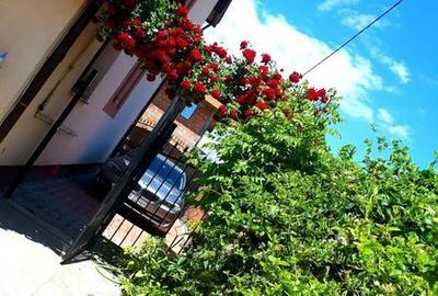 Casă cu 4 camere cu Teren 240 Mp în Central - 3