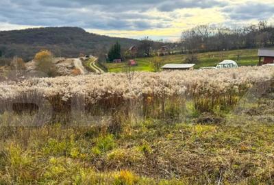 Teren de 2400 mp, în Central - 1