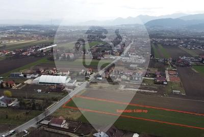 Teren Stupini 5.000 mp - 4