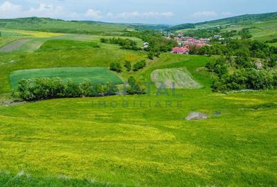 Teren intravilan Codor. Comision 0! - 8