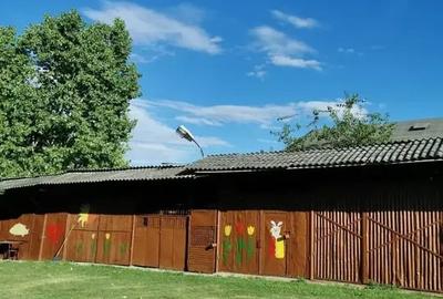 Teren in Contesti, Dambovita - 17