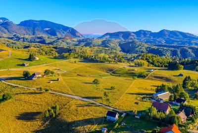 COMISION 0% Teren 19.300 mp/?irnea/ Oportunitate de inve... COMISION 0% Teren 19.300 mp/?irnea/ Oportunitate de inve... - 8