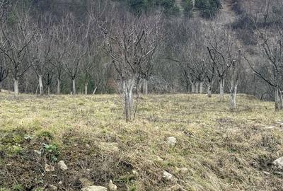 Spațiu comercial, în Moigrad-Porolissum - 1