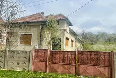 Casa de Vanzare, 4139 mp, Hapria, Ciugud Ideala ca Locuin?a sau Proiect Rural - 11