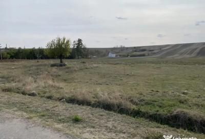Teren de 5000 mp, în Malu Mare