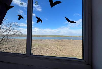 Hotel/Pensiune, de 16 mp, în Exterior Sud - 4