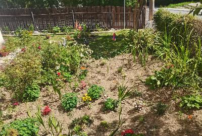 Apartament cu 2 camere decomandat în Ultracentral - 4