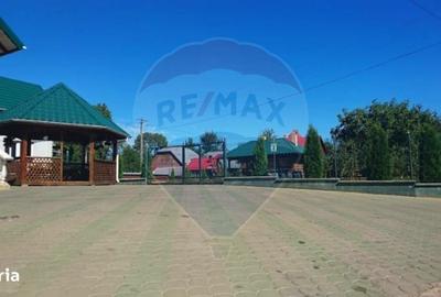 Casă cu 8 camere cu Teren 1300 Mp în Gălănești - 14