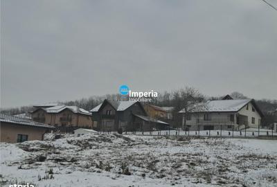 Spațiu comercial, în Tomești - 4