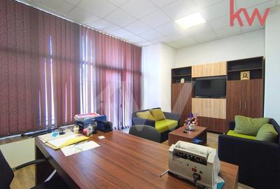 Spatiu birouri, premium, mobilat, Lapus Arges - 18