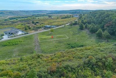 Teren intravilan -700 mp in Paleu, Bihor- intre padure ?i lac, cu PUZ aprobat Teren intravilan -700 mp in Paleu, Bihor- intre padure ?i lac, cu PUZ aprobat - 7